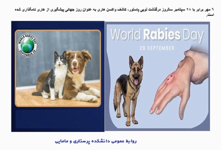 6 مهر برابر با 28 سپتامبر ،سالروز درگذشت لویی پاستور به عنوان روز جهانی پیشگیری از هاری نامگذاری شده است.